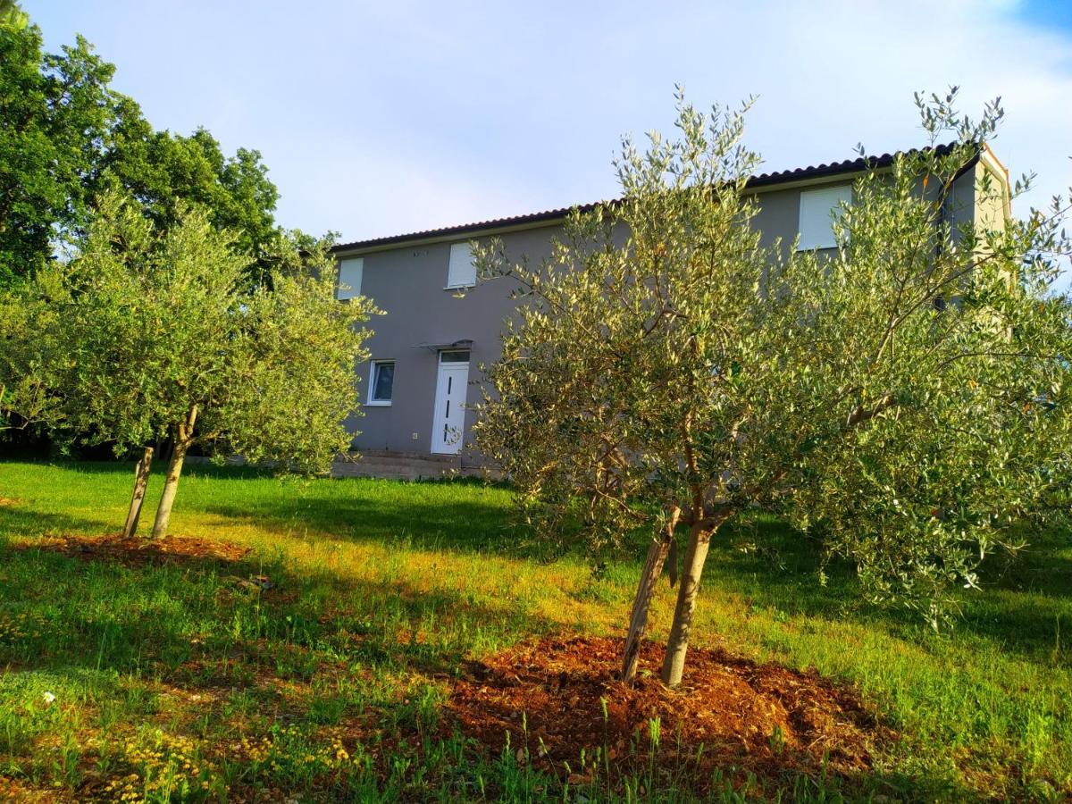 Apartments Valeria Divšići Buitenkant foto